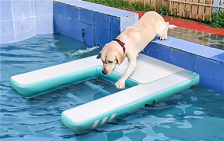 Inflatable Dog Floating Ramp